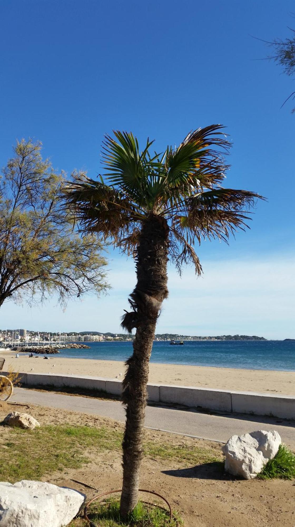 Sublime Vue Mer,Parking,Wifi Fréjus 외부 사진