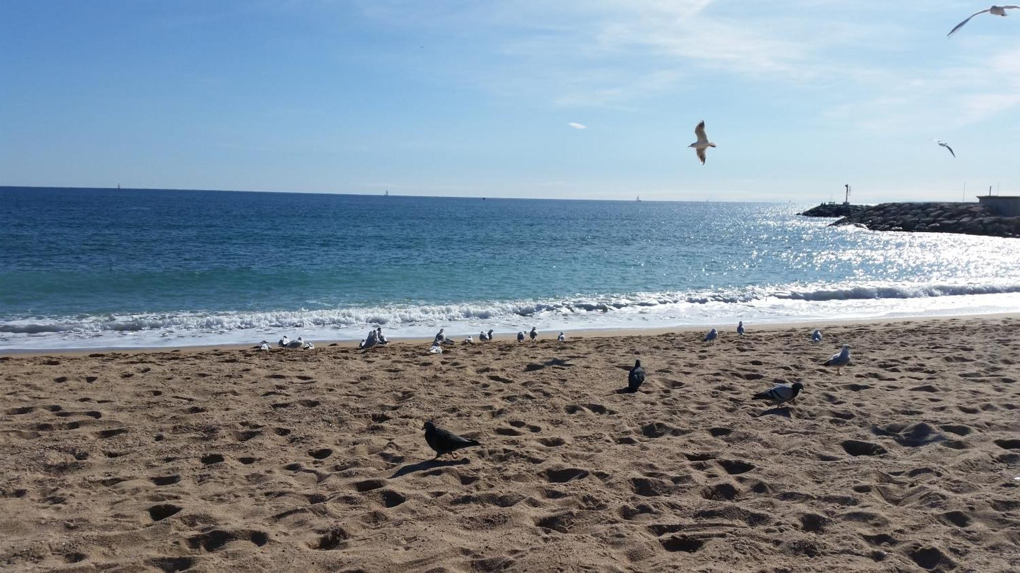 Sublime Vue Mer,Parking,Wifi Fréjus 외부 사진