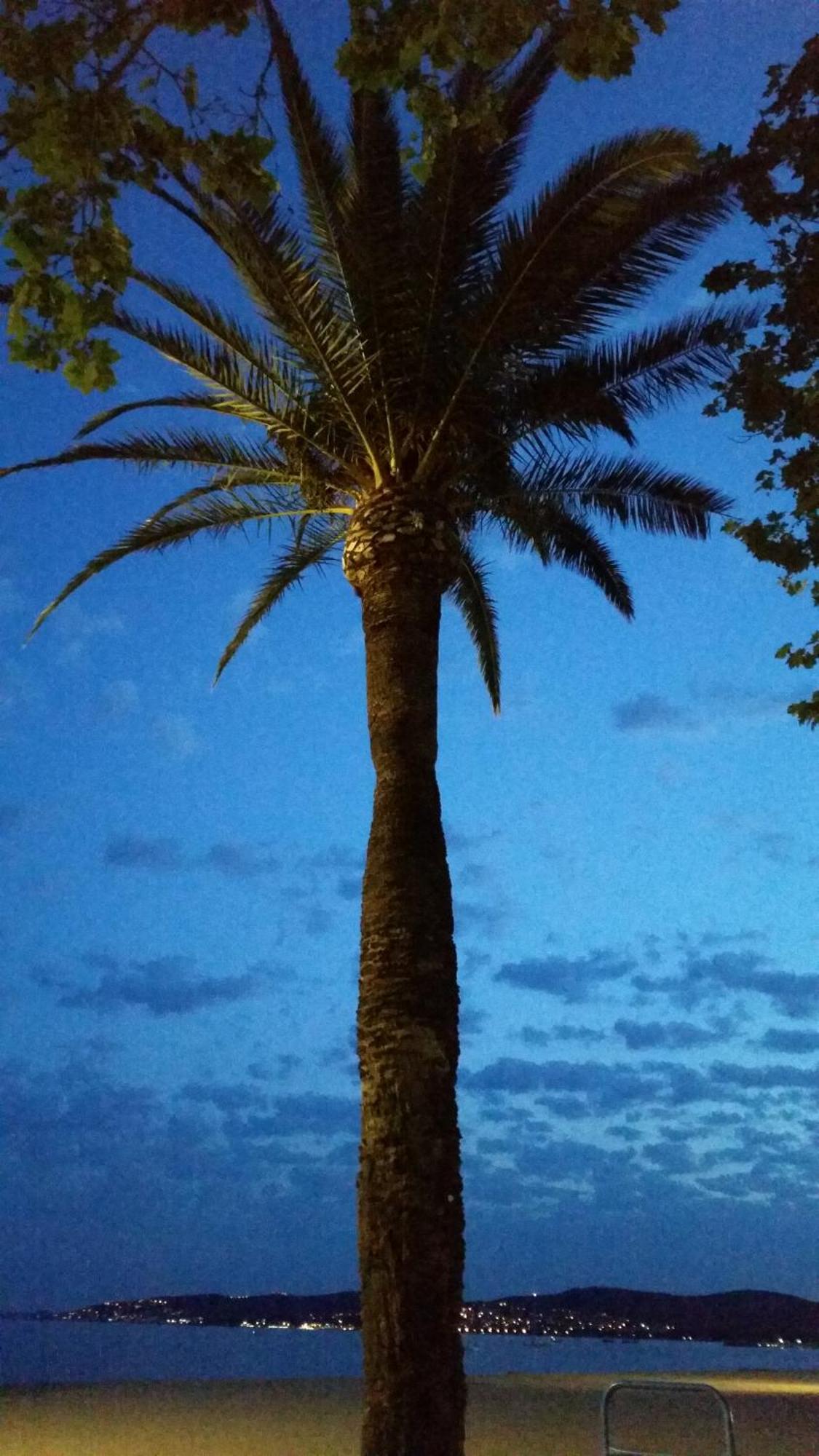 Sublime Vue Mer,Parking,Wifi Fréjus 외부 사진